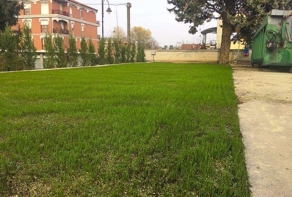 Pavigreen