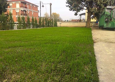 Pavigreen